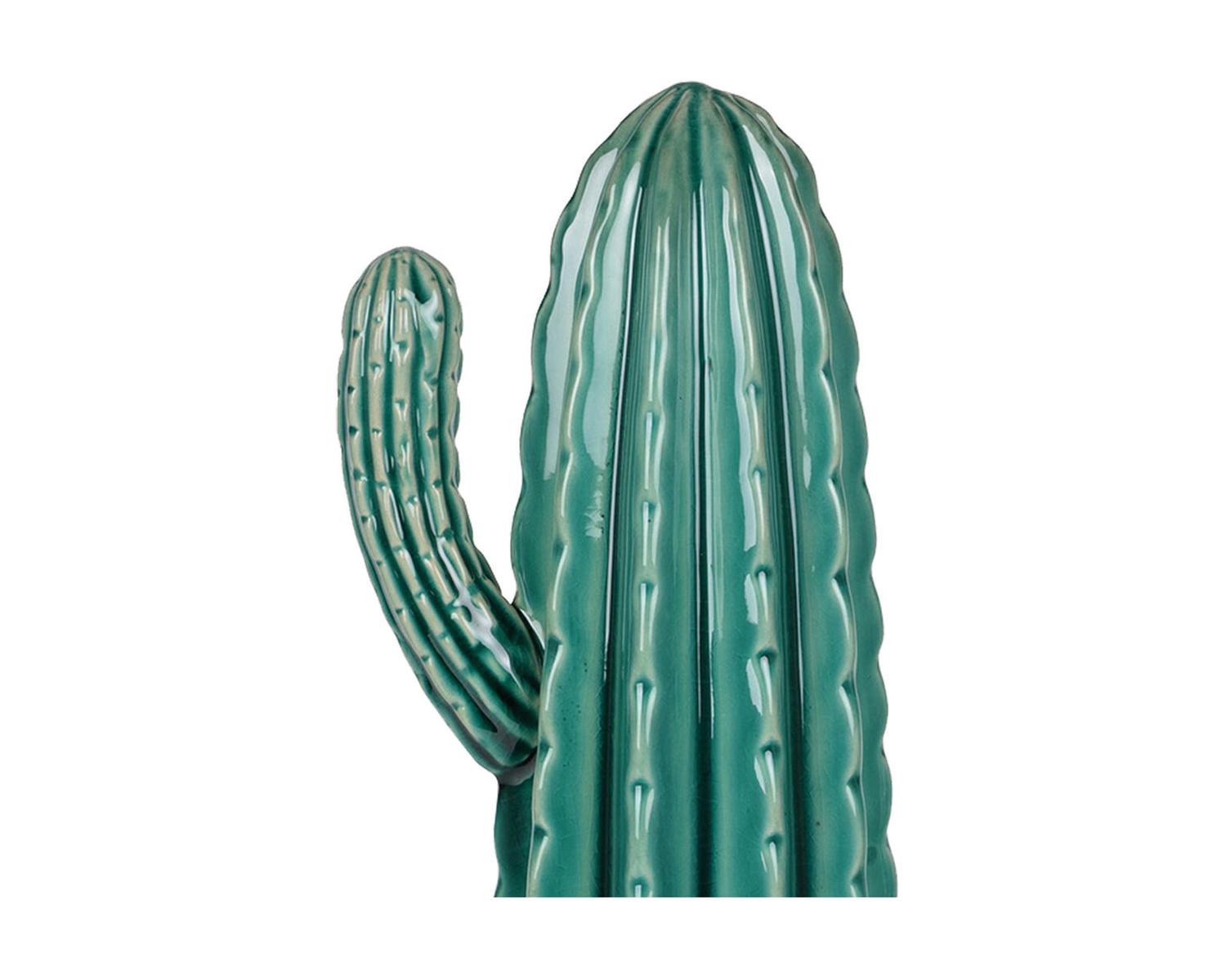 Cactus Mazunte Grande Verde